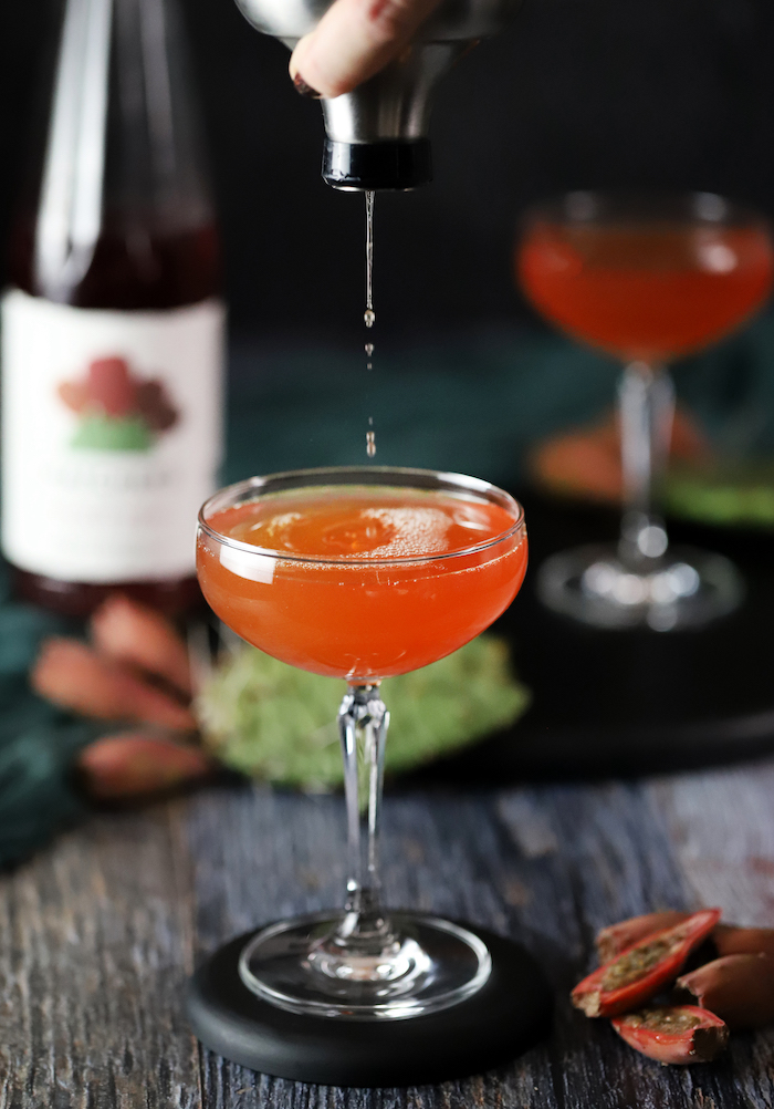 Prickly Pear Cinnamon Gin Cocktail